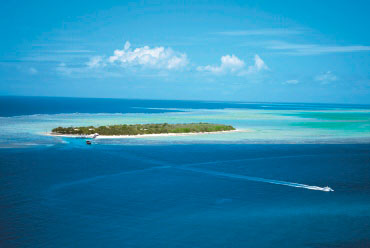 Heron island