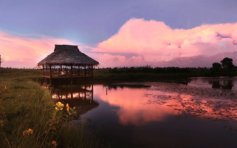 Coconut Lagoon